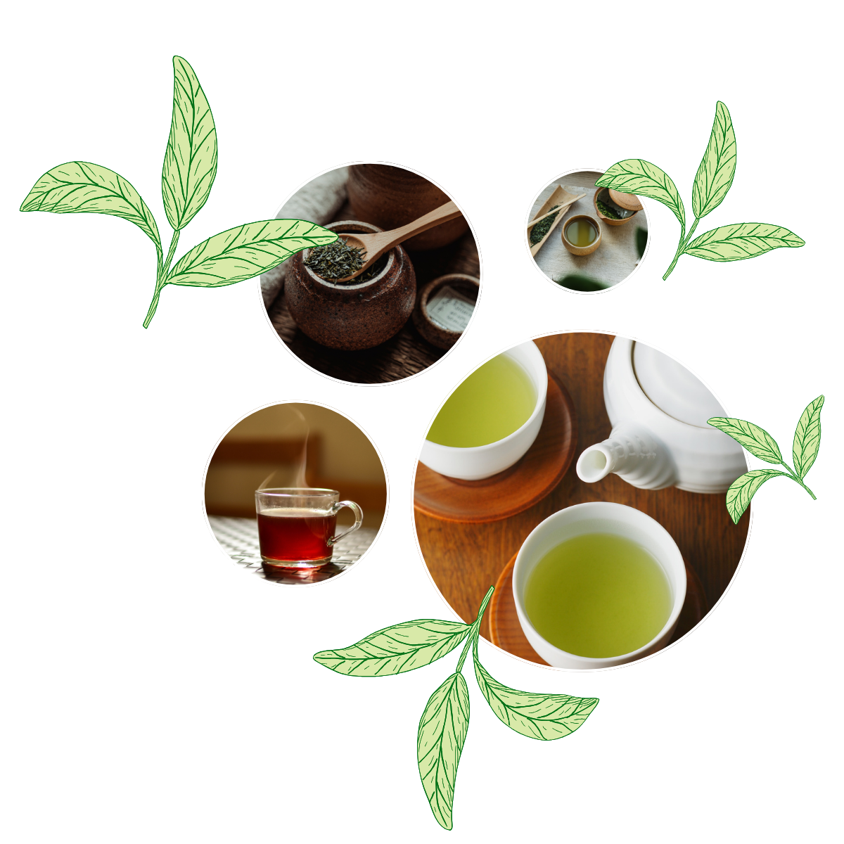 Tea Elements